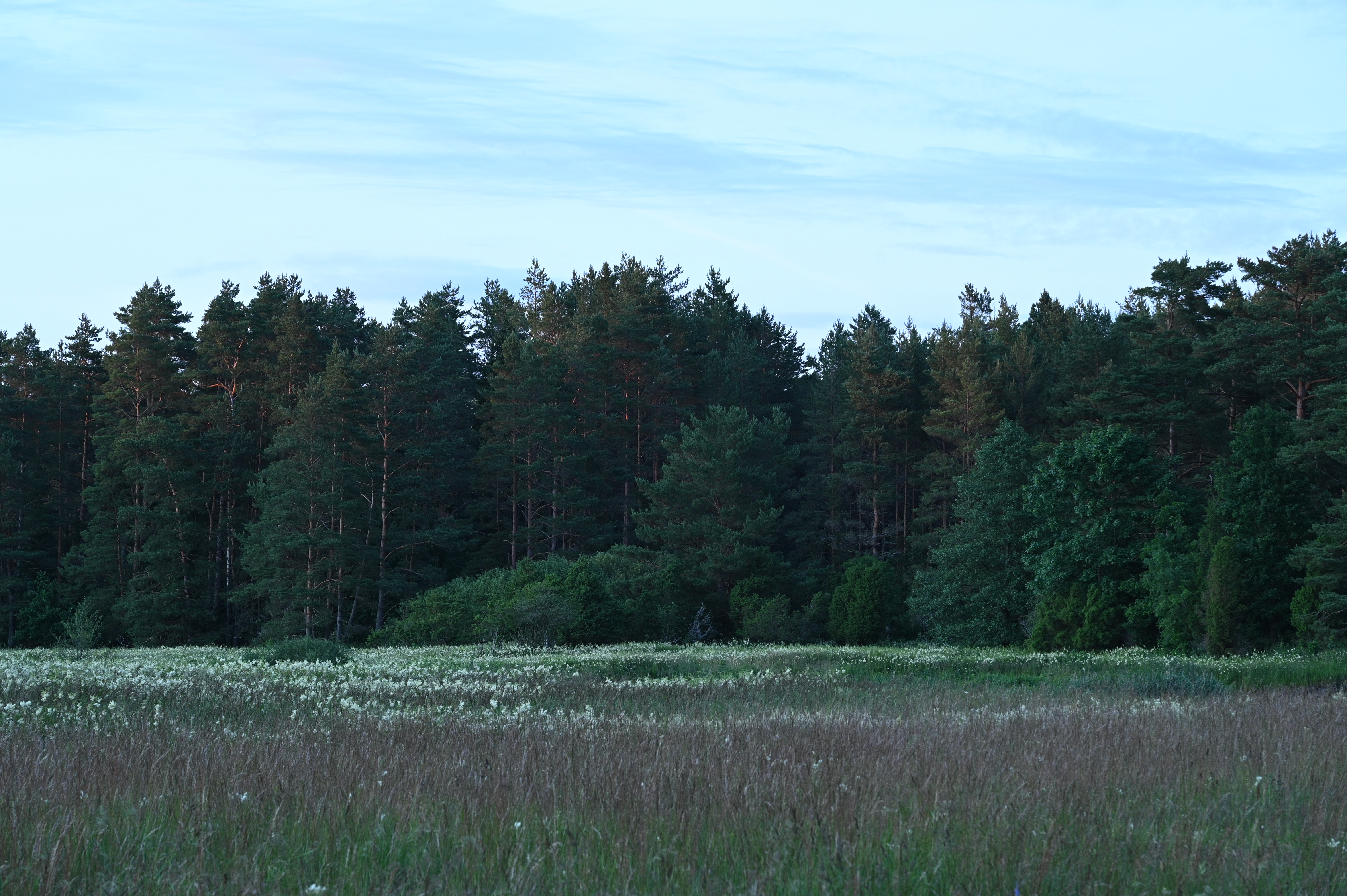 2025/07/09-14 - trip/DSC_0108.JPG